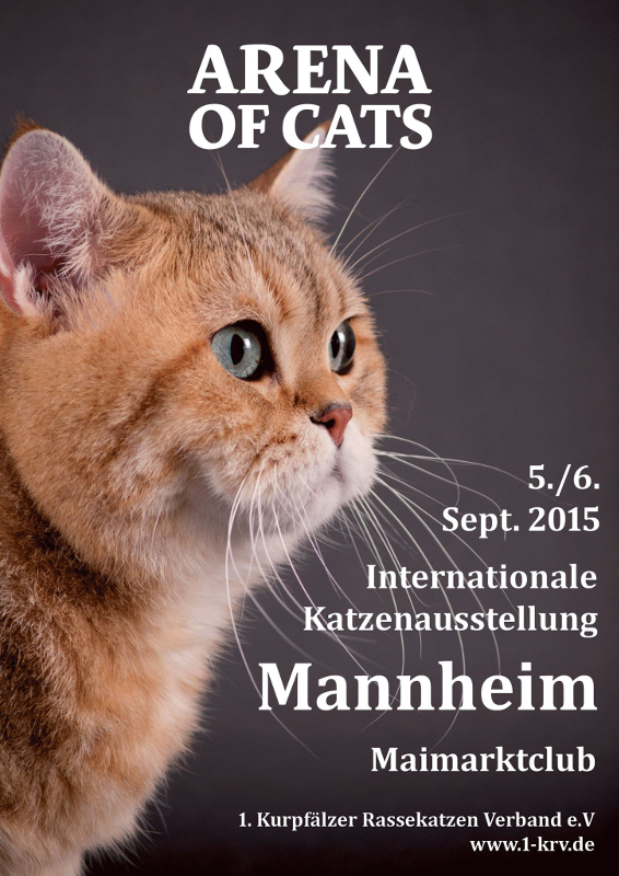 Arena of Cats 2015